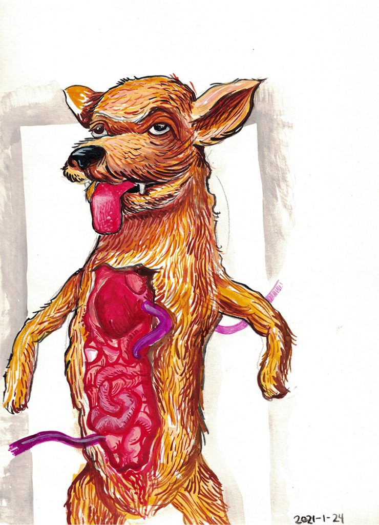 Dog Autopsy Study No. 2 Pages of Fun